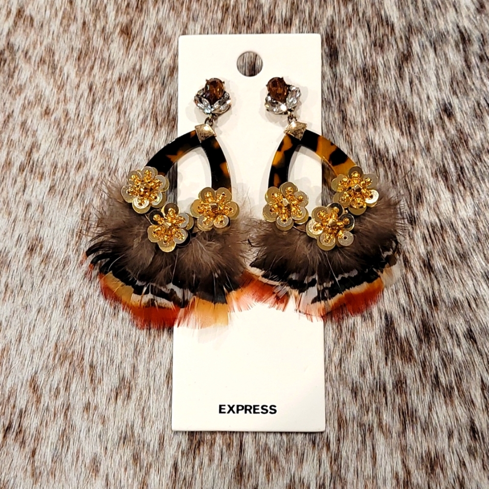 Express Earings
